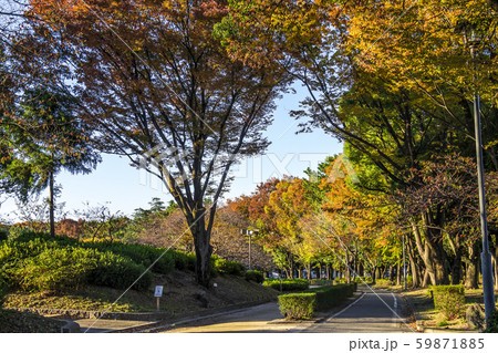 愛知県　名古屋市　名城公園 59871885