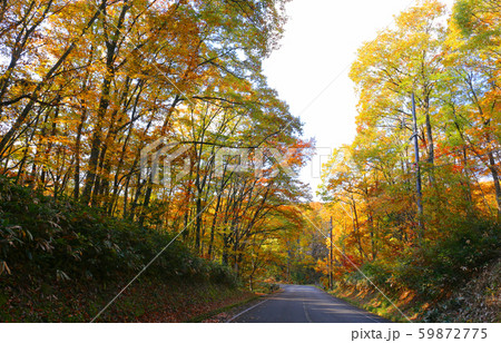 聖湖の紅葉 聖湖の紅葉 59872775