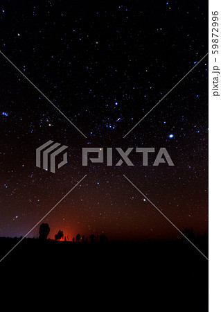 南半球のオリオン座と冬の大三角形 59872996