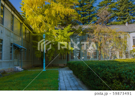 旧松本高等学校校舎(あがたの森文化会館):秋 松本市県 旧松本高等学校校舎(あがたの森文化会館):秋 松本市県 59873491
