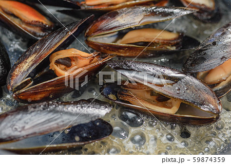 ムール貝のワイン蒸し 59874359