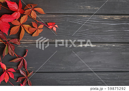 Autumn red leaves on black wooden background 59875292