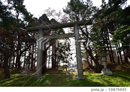 晩秋の北海道函館市護国神社の境内の風景を撮影 晩秋の北海道函館市護国神社の境内の風景を撮影 59876695