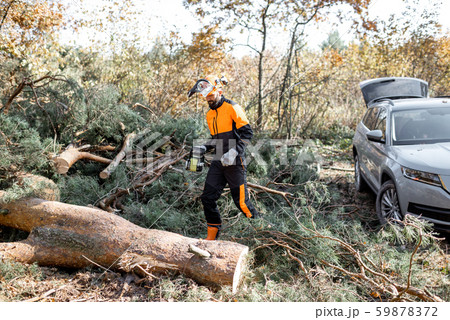 Lumberman logging in the forest 59878372