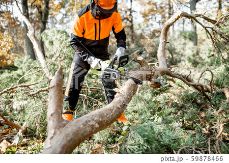 Lumberman working in the forest Lumberman working in the forest 59878466