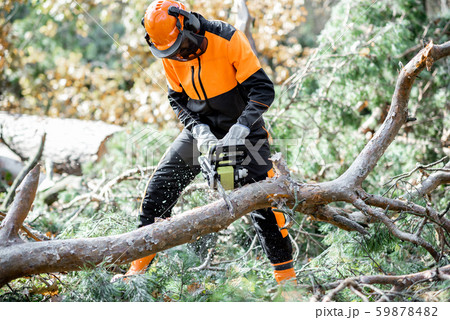 Lumberman working in the forest 59878482