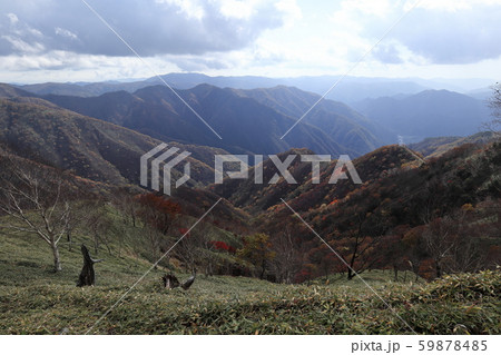 半月山-社山間の登山道から足尾方面を望む 半月山-社山間の登山道から足尾方面を望む 59878485
