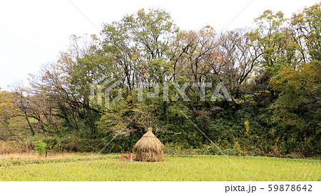 日本の原風景（晩秋） 59878642