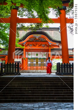 鳥居と巫女さん。宇佐神宮。大分県 59879181