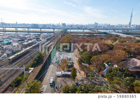 秋の新小岩公園 59880365