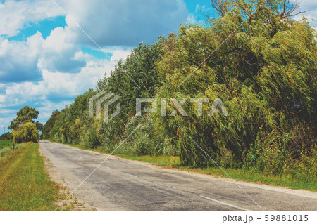 Asphalt country road on a sunny summer day 59881015