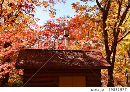 日光の紅葉風景 日光の紅葉風景 59881977