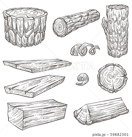 Logs and stump, wood and wooden natural materials isolated sketches 59882301