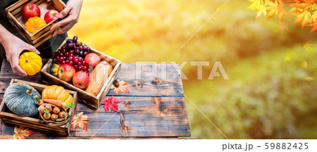 Farmer with fresh fruit on hands. Fall harvest Farmer with fresh fruit on hands. Fall harvest 59882425