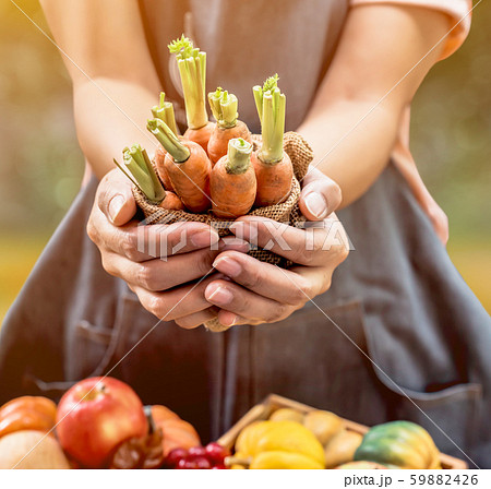 Farmer with fresh fruit on hands. Fall harvest 59882426