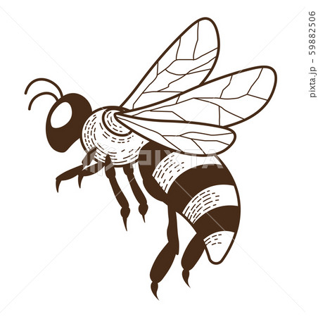 Honey bee or wasp isolated sketch icon, stripedのイラスト素材
