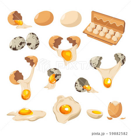 Eggs of chicken and quail, cracked shell and yolk isolated icons 59882582