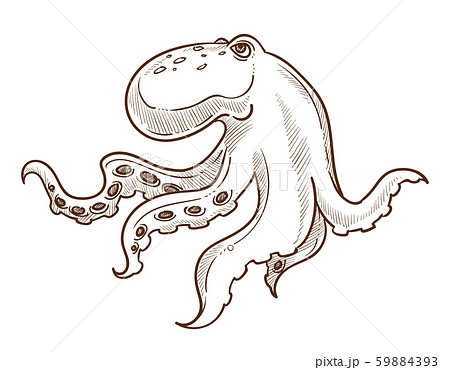 Underwater animal, octopus isolated sketch, marine creature 59884393