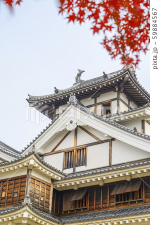 (城ピント)福知山城 日本のお城/2019年11月撮影 (城ピント)福知山城 日本のお城/2019年11月撮影 59884567