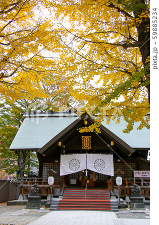 紅葉 秋 植物 葉 樹木 自然 もみじ 神社 神社仏閣 頓宮 参拝 お参り 紅葉 秋 植物 葉 樹木 自然 もみじ 神社 神社仏閣 頓宮 参拝 お参り 59885234