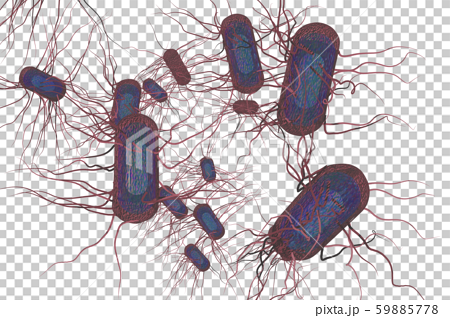 サルモネラ菌のイラスト コンピューターグラフィック 透過素材 のイラスト素材