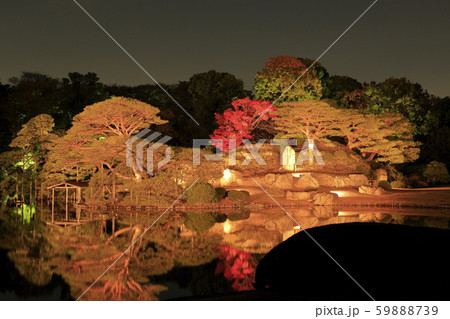 六義園の紅葉 ライトアップ 六義園の紅葉 ライトアップ 59888739