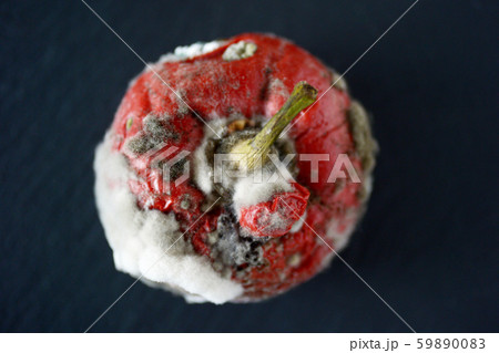 Red Bulgarian peppers covered with fungus on a Red Bulgarian peppers covered with fungus on a 59890083