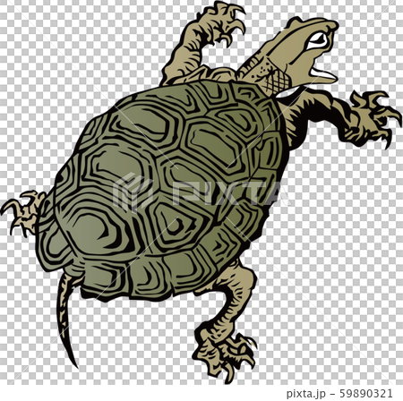 Ukiyoe Kame 2 59890321