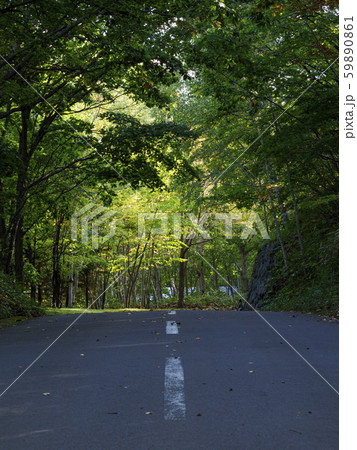 緑の木々の中の一本道 アイレベル 緑の木々の中の一本道 アイレベル 59890861