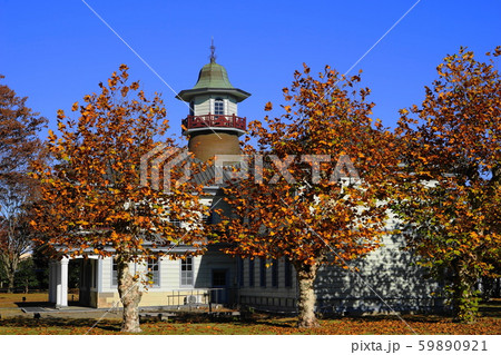 11月 水戸108旧水海道小学校本館と紅葉(プラタナス) 11月 水戸108旧水海道小学校本館と紅葉(プラタナス) 59890921