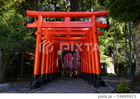 11月 水戸105常盤稲荷・常盤神社 11月 水戸105常盤稲荷・常盤神社 59890925