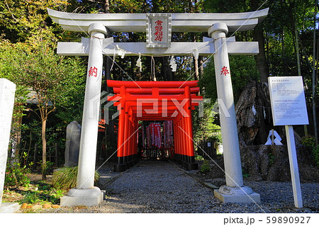 11月 水戸103常盤稲荷・常盤神社 11月 水戸103常盤稲荷・常盤神社 59890927