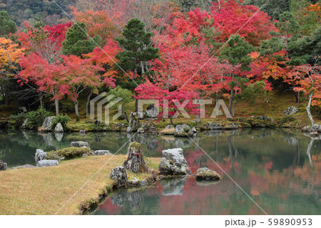 京都 天龍寺 曹源池庭園の紅葉 京都 天龍寺 曹源池庭園の紅葉 59890953