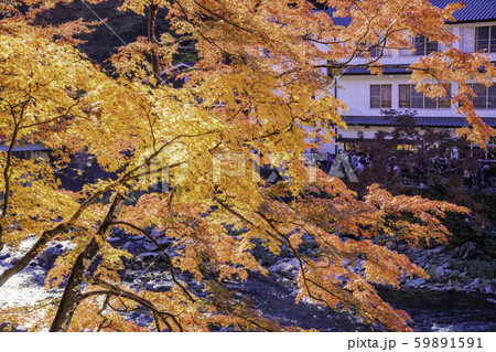 (愛知県)香嵐渓の紅葉 川沿いの宿 (愛知県)香嵐渓の紅葉 川沿いの宿 59891591