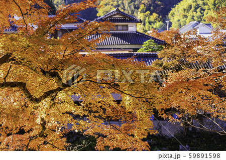 （愛知県）香嵐渓の紅葉　川沿いの宿 59891598