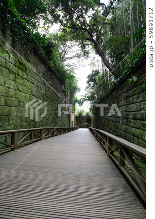 横須賀猿島の切り通し 59891712