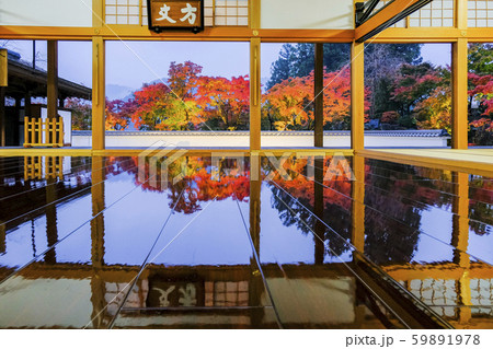 薄暮の床もみじ 薄暮の床もみじ 59891978