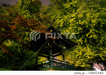 秋の鐘楼 59892489