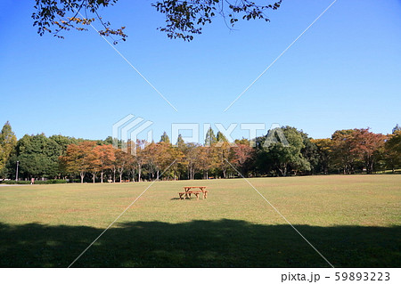 秋の公園 59893223