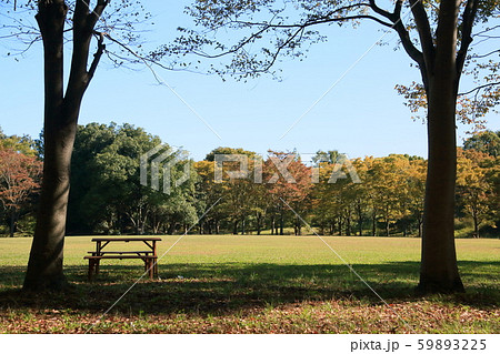 秋の公園 秋の公園 59893225