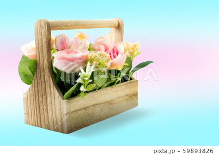 Set of flower pink rose potted on isolated blue background Set of flower pink rose potted on isolated blue background 59893826