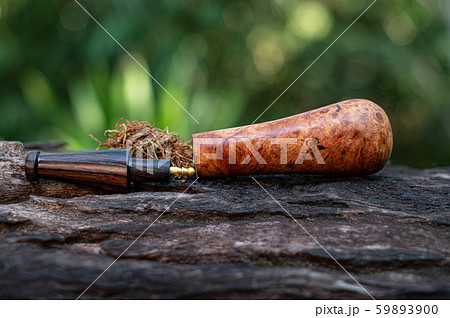 This Tobacco pipe is made from burl wood at white background 59893900