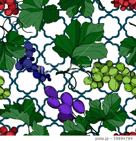 Vector Grape berry healthy food. Black and white engraved ink art. Seamless background pattern. 59894784