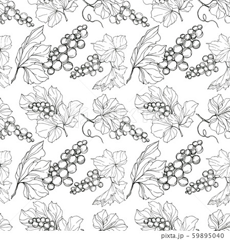 Vector Grape berry healthy food. Black and white engraved ink art. Seamless background pattern. 59895040