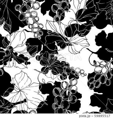 Vector Grape berry healthy food. Black and white engraved ink art. Seamless background pattern. 59895517