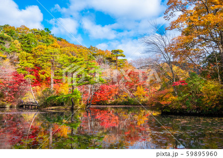 神戸森林植物園の紅葉 59895960