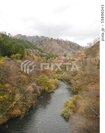 胎内川【新潟県胎内市】 59896043