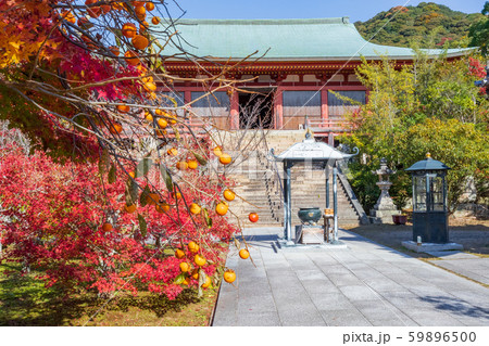 秋の神戸・太山寺・三重塔 59896500
