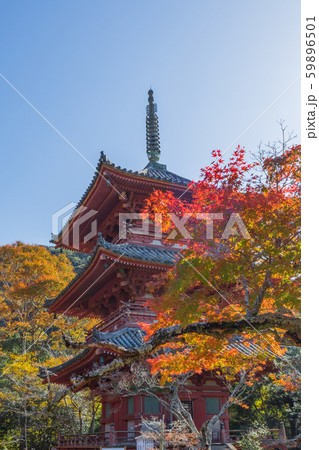 秋の神戸・太山寺・三重塔 59896501
