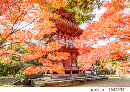 秋の神戸・太山寺・三重塔 秋の神戸・太山寺・三重塔 59896524